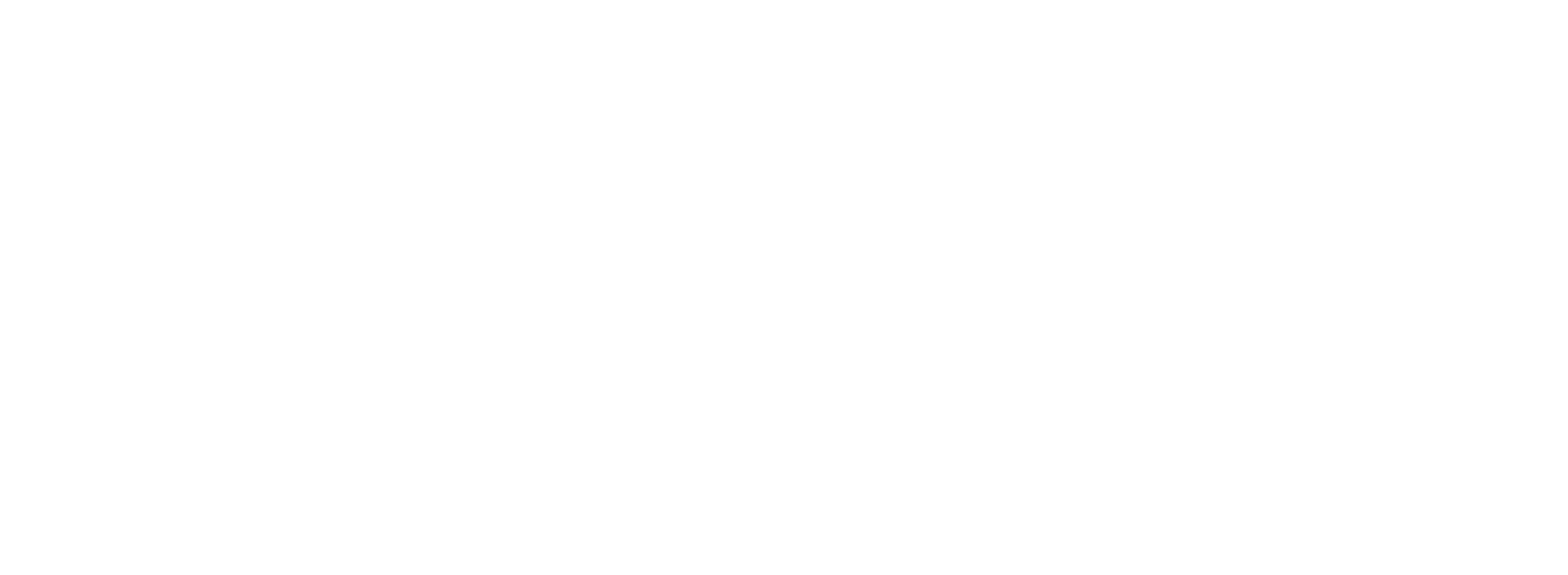 REAL 4X4 W-01-01
